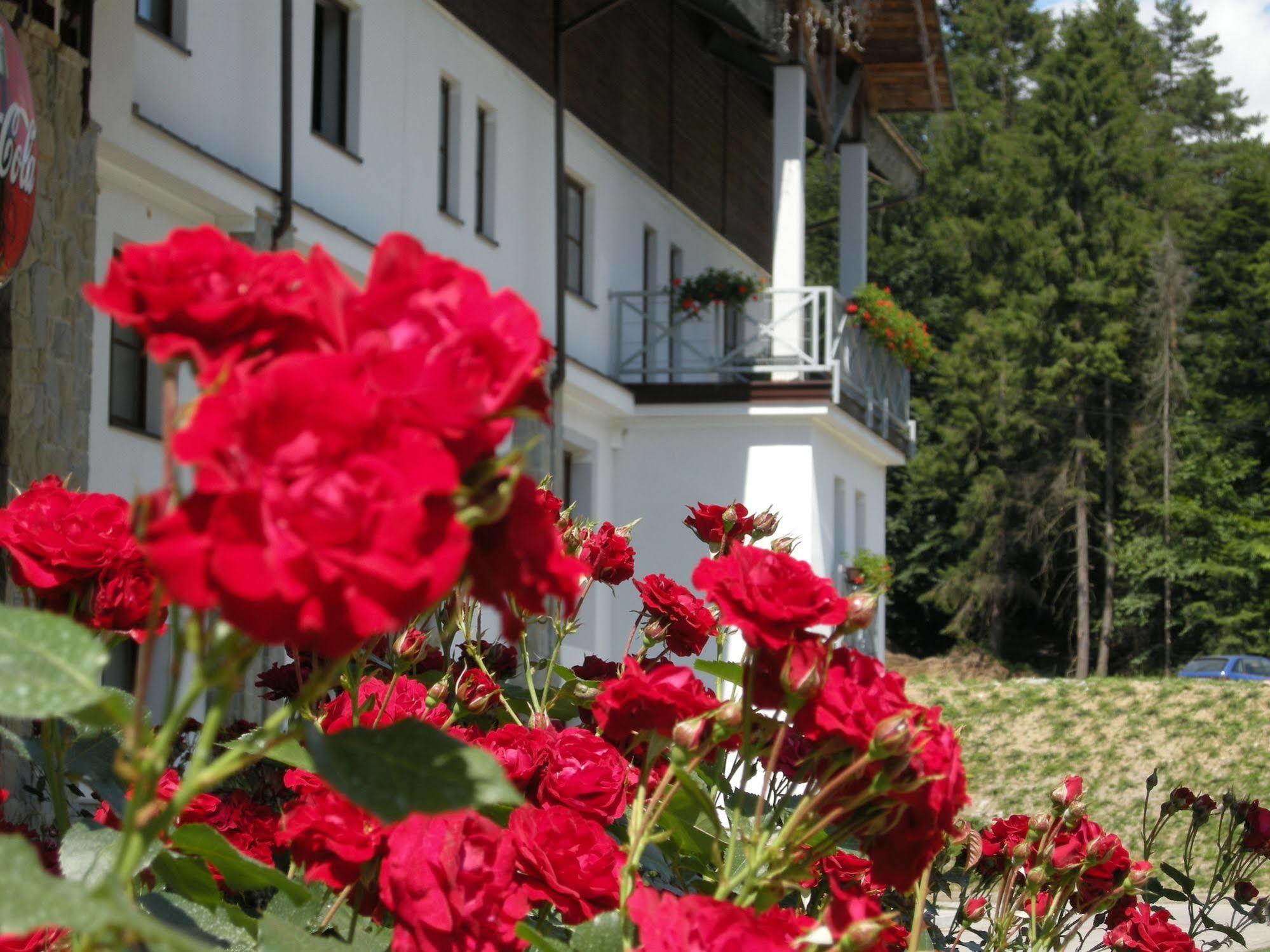 Hotel Jaworzyna Krynicka Krynica-Zdrój Esterno foto